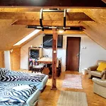 Cechuv Mlyn Hotel
