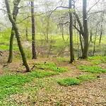 Cechuv Mlyn * Hrebecniky