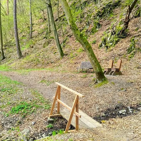 Cechuv Mlyn فندق