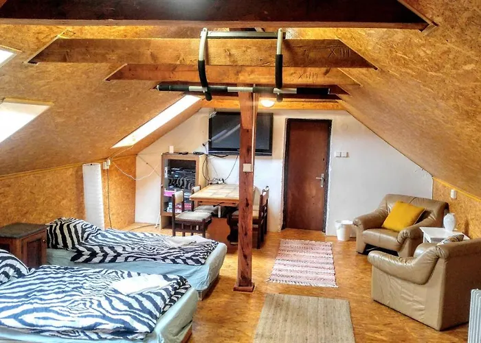 Cechuv Mlyn فندق