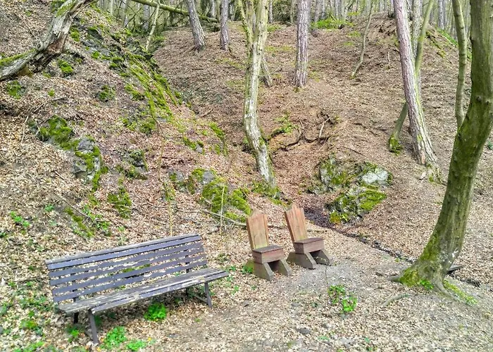 Cechuv Mlyn فندق