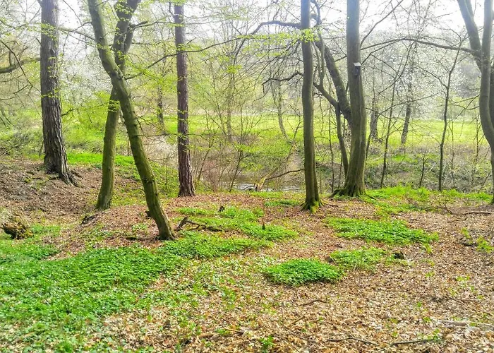 Cechuv Mlyn * Hrebecniky